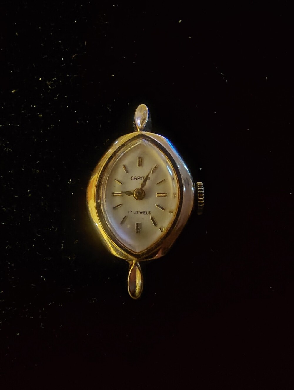 Women's Capital Watch